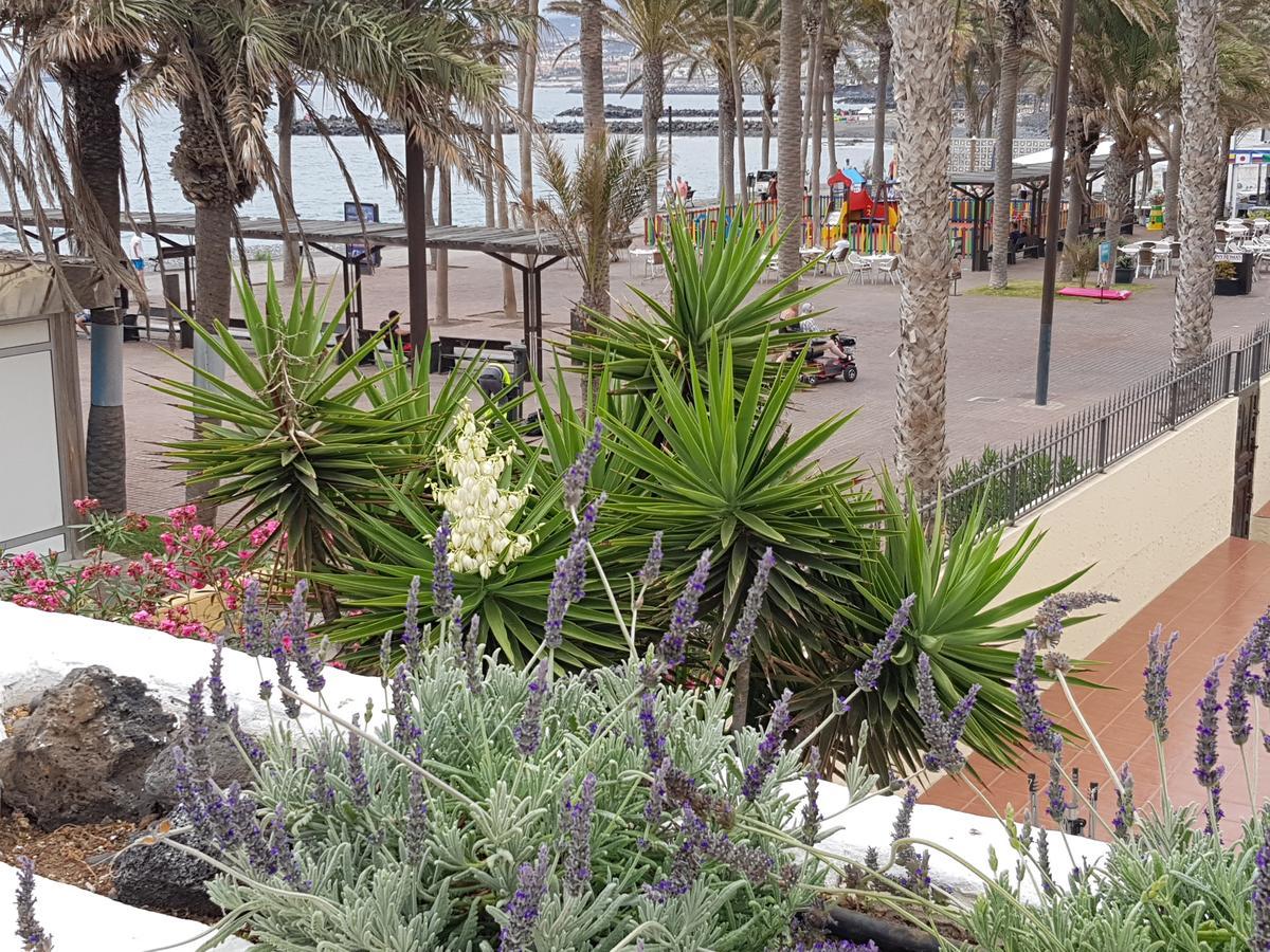 Vila Lavanda Playa de las Americas  Exteriör bild