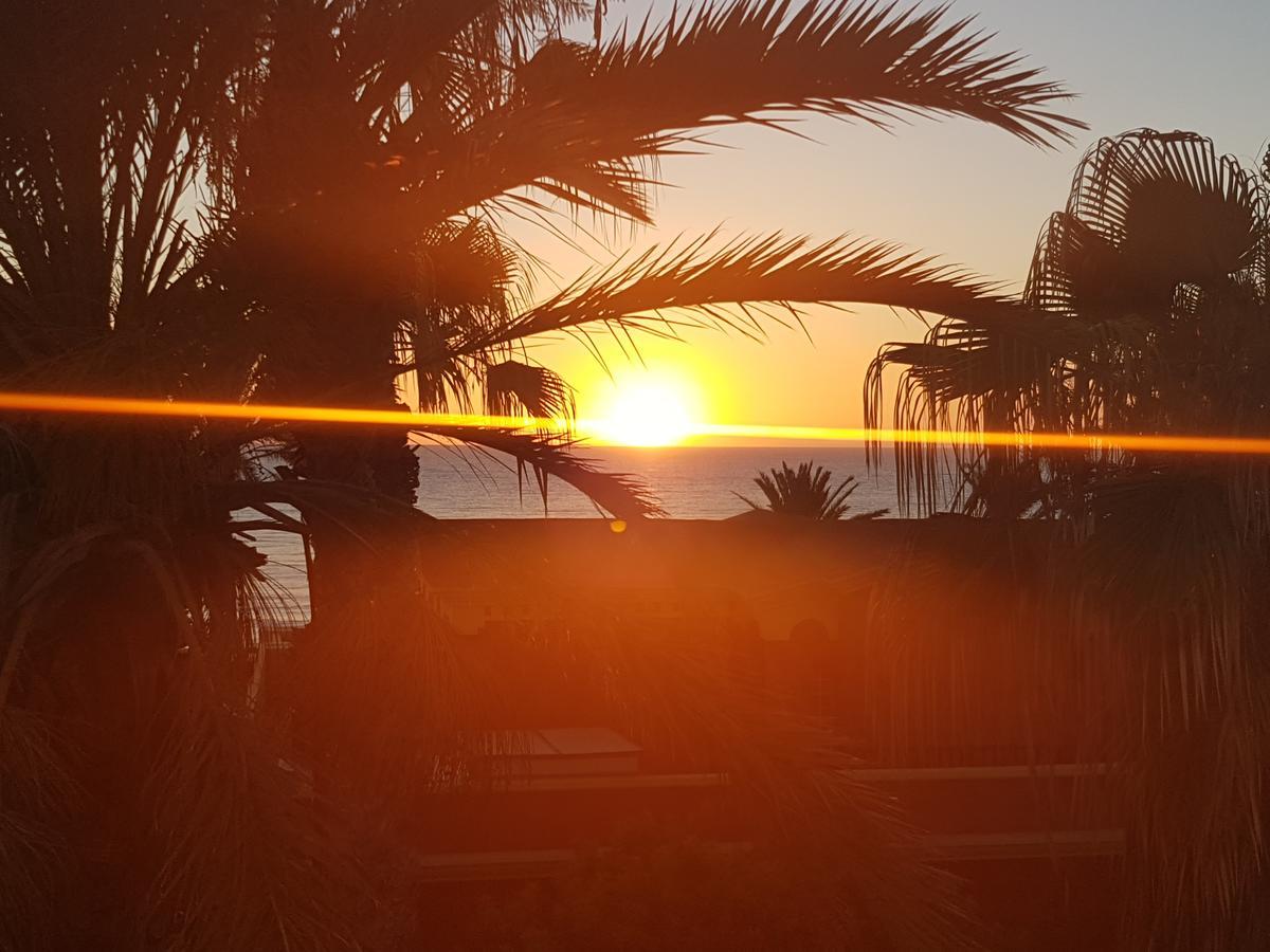 Vila Lavanda Playa de las Americas  Exteriör bild